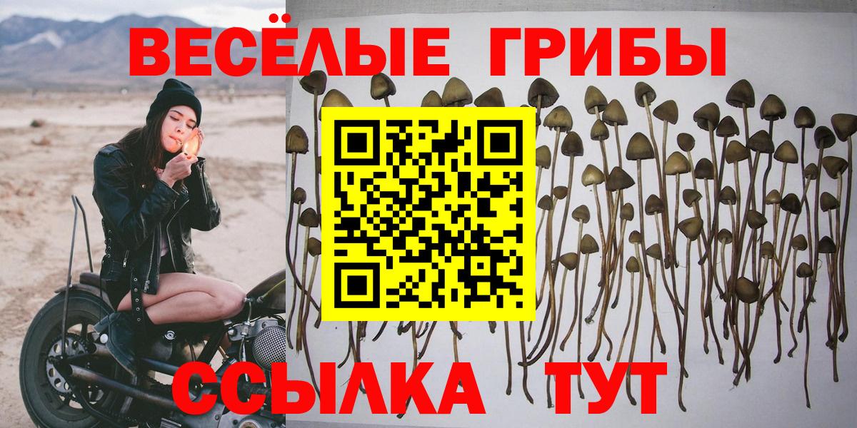 Саров  Галлюциногенные грибы прущие грибы  Псилоцибиновые грибы мухоморы  Вход с VPN 