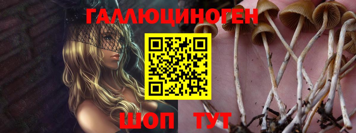 Псилоцибиновые грибы прущие грибы Саров